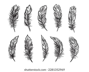 Feather set Vector Black and White 