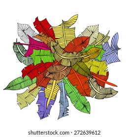 Feather Set. Vector illustration. Isolated on white