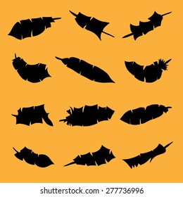 Feather Set. Vector illustration. Isolated on yellow