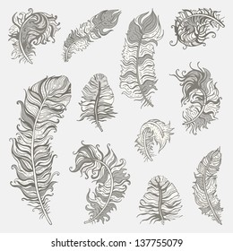 Feather set.  Vintage vector illustration.