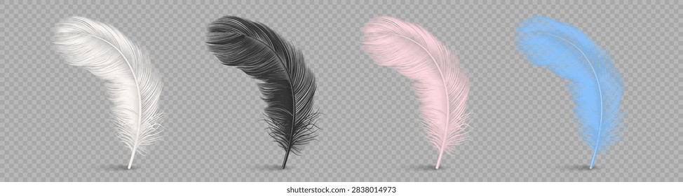 Feather Set in White, Black, Pink and Blue Colors, Vector Illustration. Soft Fluffy Bird Feathers Isolated. Decorative Lightweight Plume Collection