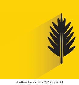 feather with shadow on yellow background