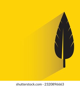 feather with shadow on yellow background