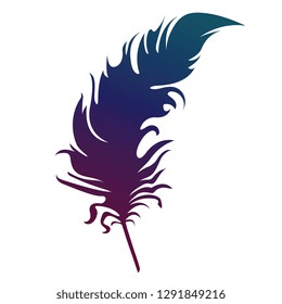 feather silhohette blue and purple