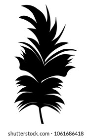 feather silhouette beautiful vector