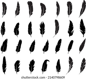 Feather Silhouette Isolated on White Background