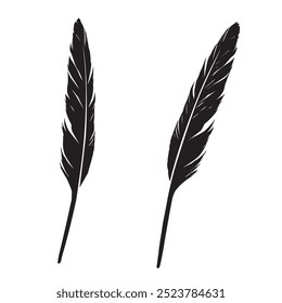 Feather silhouette isolated on white background