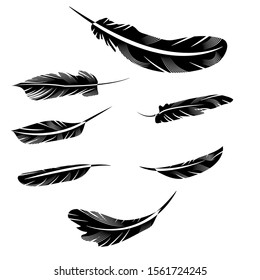 Feather Silhouette. silhouette of feather on white background. Pair of vector silhouette of feathers vector