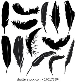 Feather Silhouette Set Stock Vector (Royalty Free) 170176394 | Shutterstock