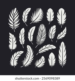 Feather silhouette set vector illustration. Elegant, tenderness, lightness symbol