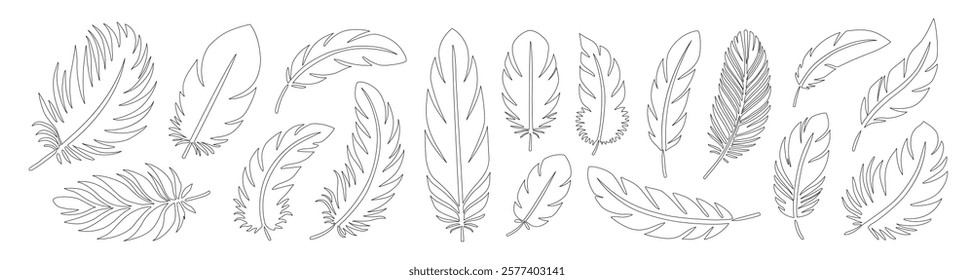 Feather silhouette set vector illustration. Elegant, tenderness, lightness symbol