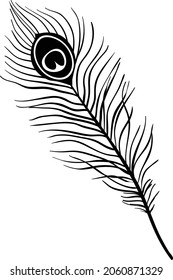 Feather silhouette vector art and illustration