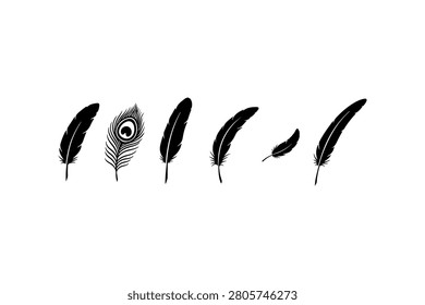 Feather Silhouette Vector Icon Collection Set