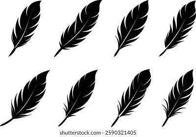 Feather Silhouette Vector Illustration Design