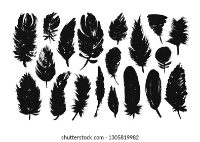 Feather silhouettes collection. Vector hand drawn elements. Detailed majestic feather collection. Decorative shapes.