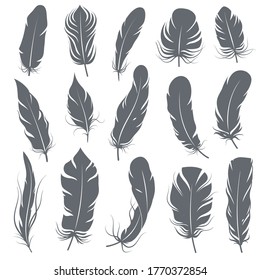 Feather silhouettes. Different feathering birds, graphic simple shapes pen decorative elements, black elegant vintage sketch plume wings vector isolated set