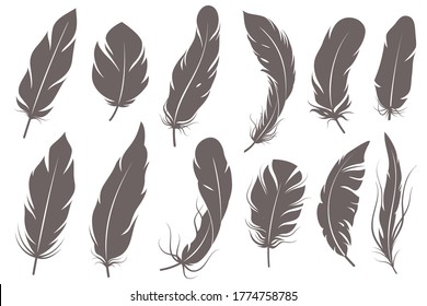 Feather silhouettes. Different feathering birds, graphic simple shapes pen decorative elements, gray elegant vintage sketch plume wings vector isolated set