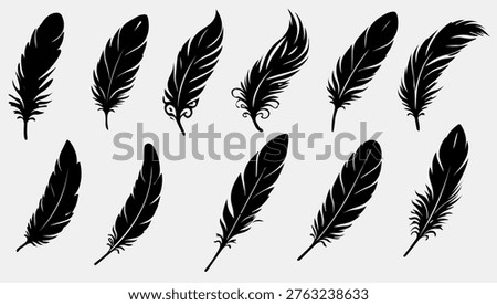 Feather silhouettes set boho decorative feathers collection elegant bird plume shapes
