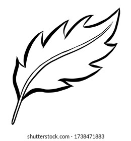 Feather single element in doodle style.Hand drawn symbols writing and magic. Isolated sketch on white background.