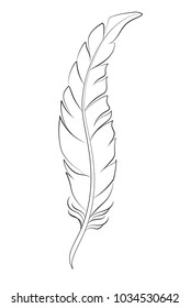 Feather sketch for coloring on white background.