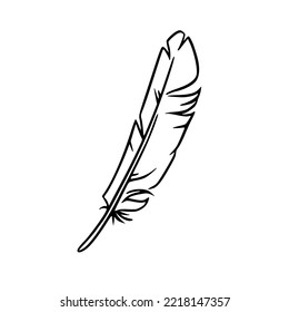 Feather sketch. Feather for decoration or writing. Vector illustration isolated on white background