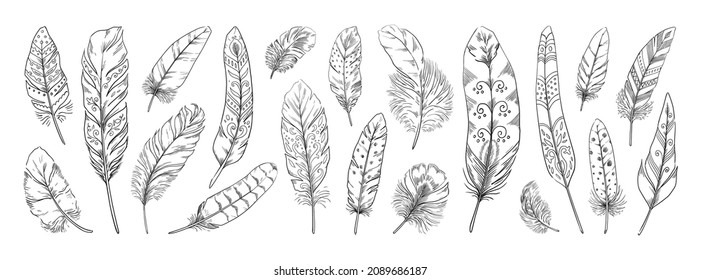 Feather sketch. Hand drawn Indian sketch of doodle bird quill silhouette with ethnic ornament and patterns. Natural plumage. Boho decor elements, vector decorative feathers set