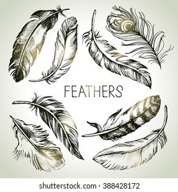 Feather Sketch Set. Hand Drawn Vector Illustrations 