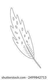 Feather sketch simple hand drawn doodle line art illustration, tribal ethnic mystic spiritual style outline drawing