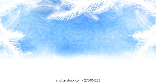 Feather sky background