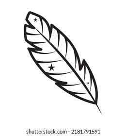 feather with stars on white background