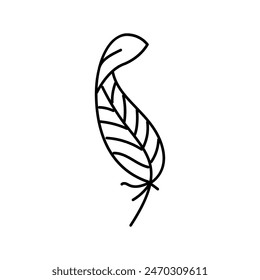 feather tattoo art vintage line icon vector. feather tattoo art vintage sign. isolated contour symbol black illustration