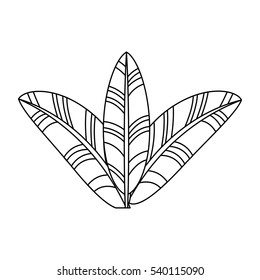 feather tropical carnival decoration vector illustration design