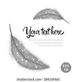 Feather vector
