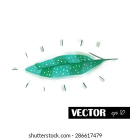 Feather vector