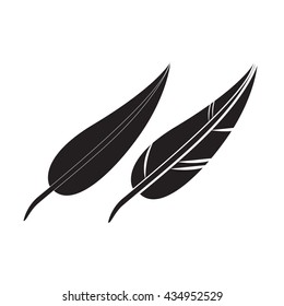 Feather Vector