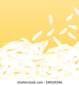 Feather vector background concept with copy space for text