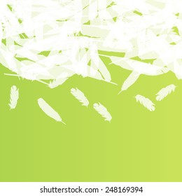 Feather vector background concept with copy space for text