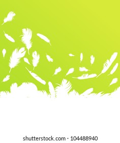 Feather vector background with copy space for text
