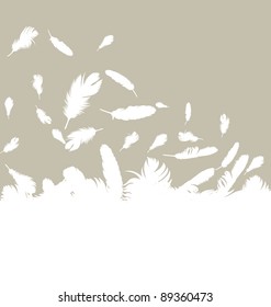Feather Vector Background With Copy Space For Text
