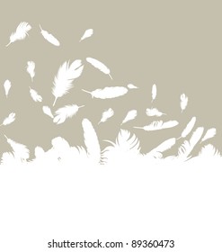 Feather vector background with copy space for text