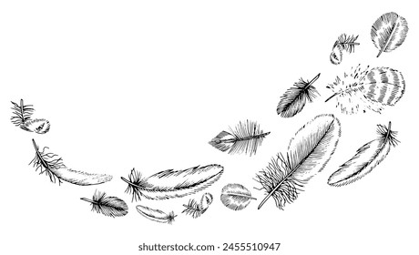 Feather vector Border. Black line art drawing of flying quills. Hand drawn set of plumes of different birds. Linear sketch on isolated white background. Outline illustration in engraving style