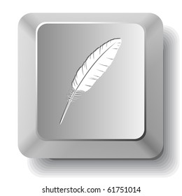 Feather. Vector computer key.