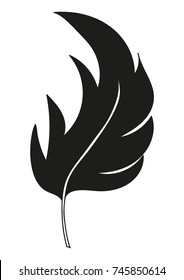 feather vector contour