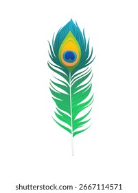 Diseño de Vector de plumas, ilustración de pluma de pavo real de dibujos animados