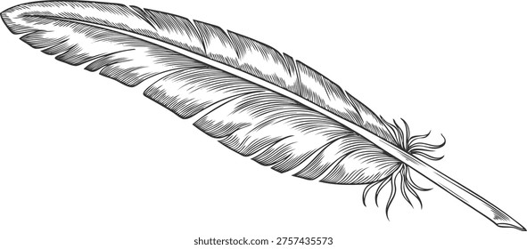 Feather vector engraved hand