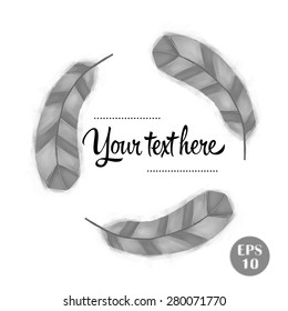 Feather vector. Frame of feathers for your design.