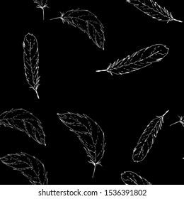 Feather vector hand drawn seamless pattern. Natural print texture.