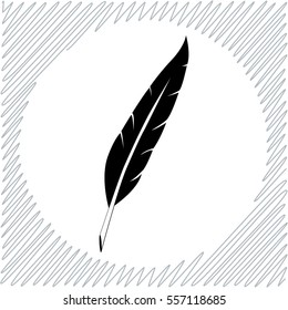 Feather vector icon - black  illustration