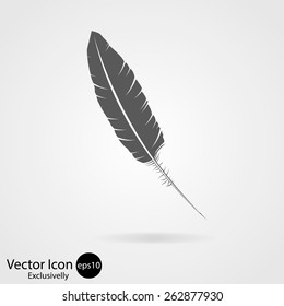 feather vector icon. exclusively