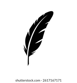 Feather vector icon illustratio design
